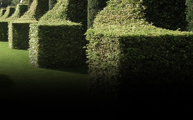 Indoor gardens