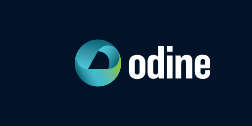 ODİNE SOLUTİONS TEKNOLOJİ TİCARET VE SANAYİ A.Ş.