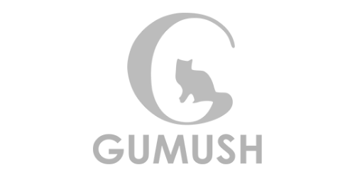 GÜMÜŞ UZAY SAVUNMA HAVACILIK BİL. YAZ. AR-GE. MÜH. SAN. VE TİC. LTD. ŞTİ.