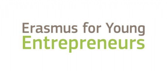 From Türkiye to Global Markets: Two Entrepreneurship Success Stories with Erasmus for Young Entrepreneurs