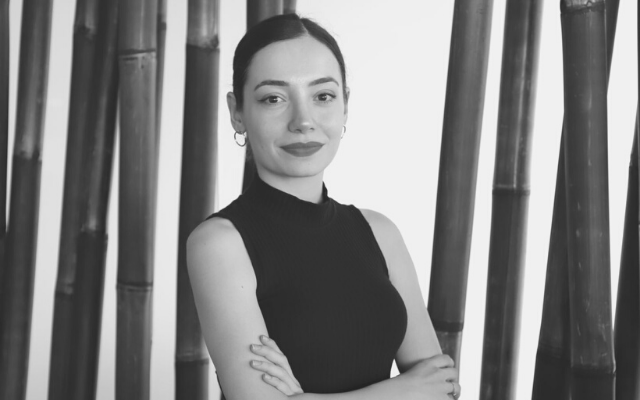  Deniz Dingiz